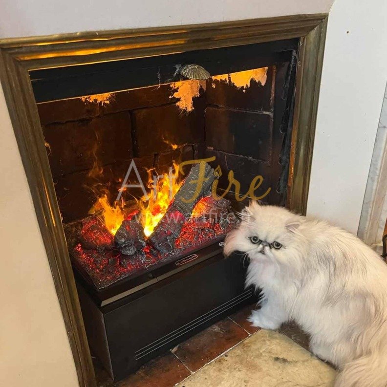 Basket 400 placé directement dans l'âtre d'une cheminée pour profiter de belles flammes