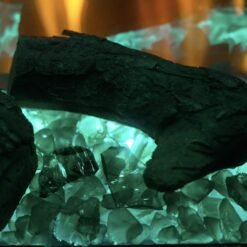 Ignite Bold avec son lit de combustion vert