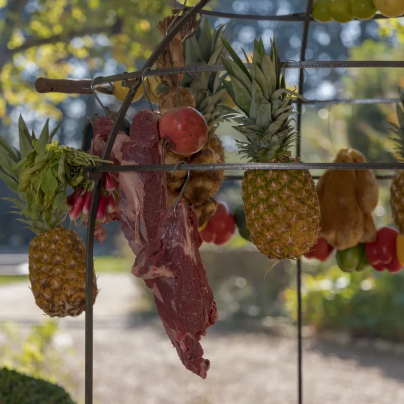 Firten Cage – Image 4